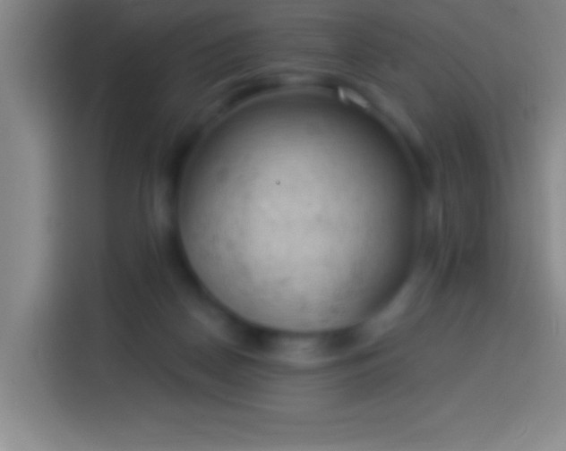 X0000113900170200910011350