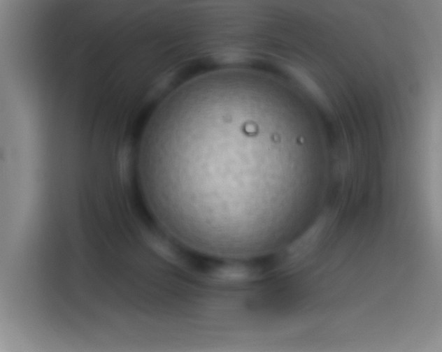 X0000113900171200910011350