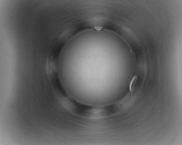 X0000113900172200910011350