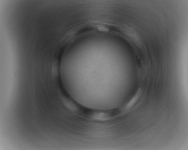 X0000113900174200910011350