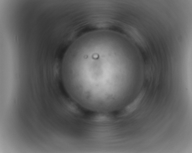 X0000113900175200910011350