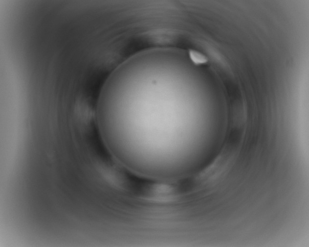 X0000113900176200910011350