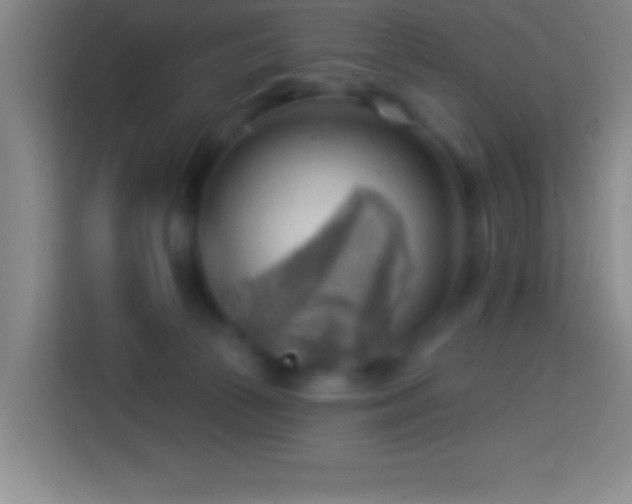 X0000113900177200910011350