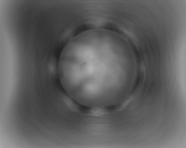 X0000113900181200910011350