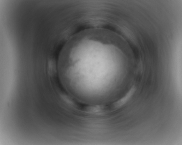 X0000113900182200910011350