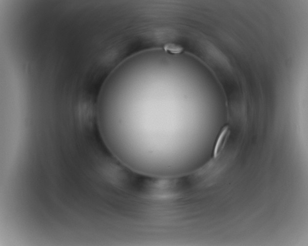 X0000113900184200910011350