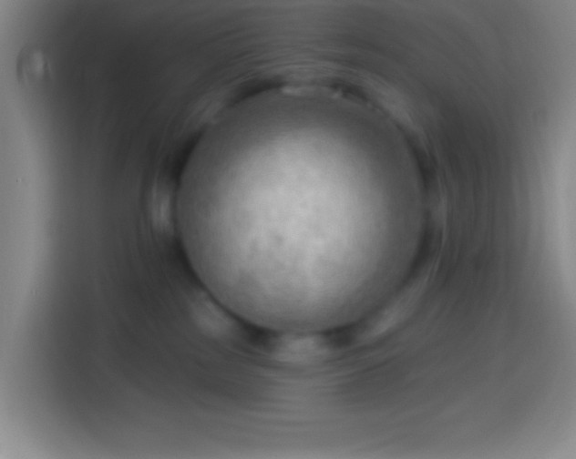 X0000113900185200910011350