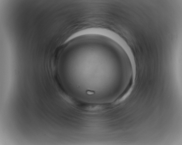 X0000113900186200910011350