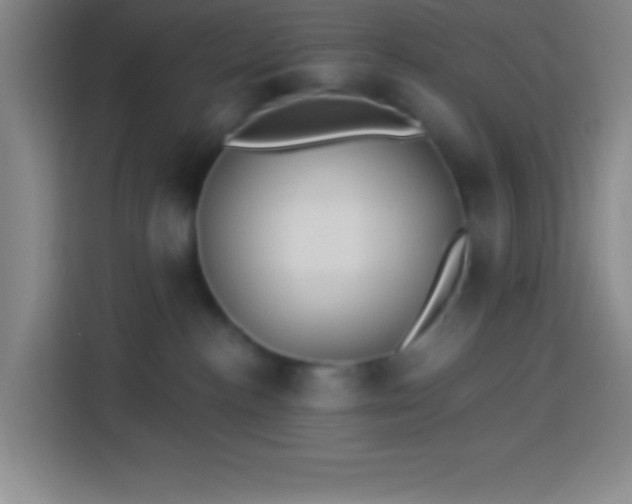 X0000113900188200910011350