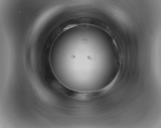 X0000113900190200910011350