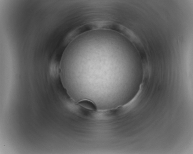 X0000113900191200910011350