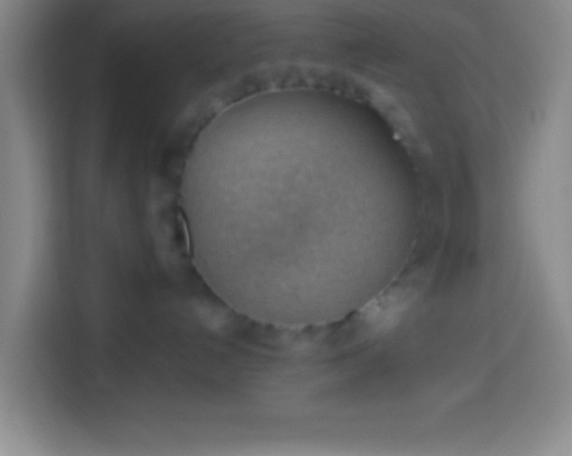 X0000113900192200910011350