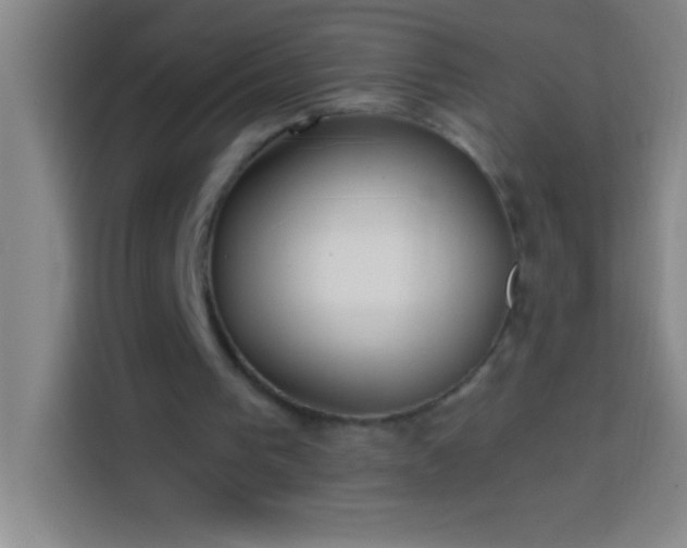 X0000113900193200910011349