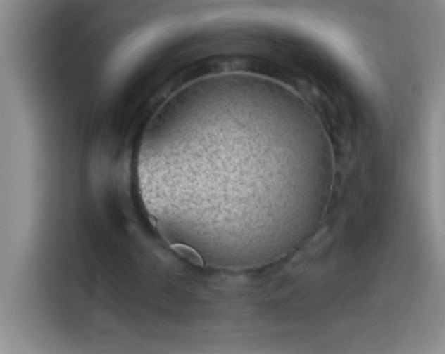 X0000113900194200910011349