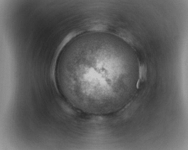 X0000113900195200910011349