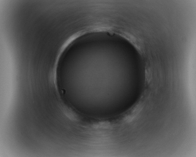 X0000113900196200910011349