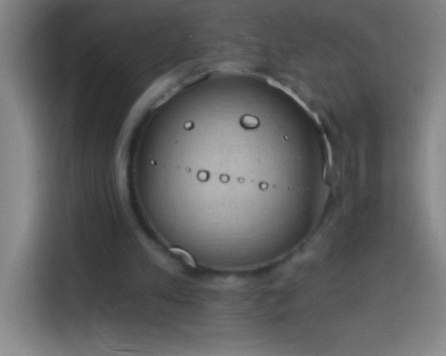 X0000113900197200910011349