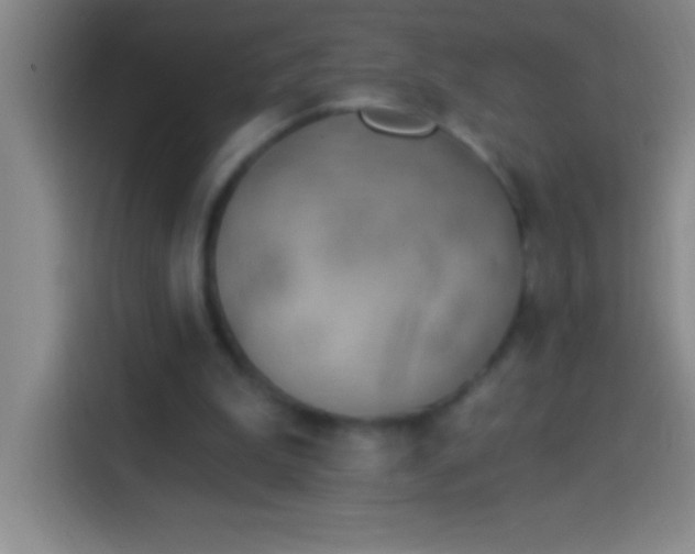 X0000113900199200910011349