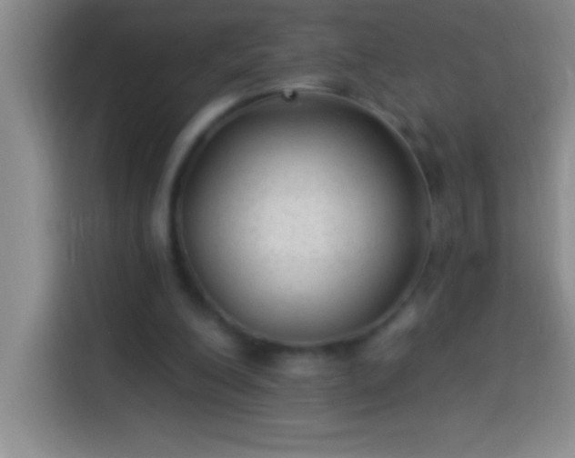 X0000113900200200910011349