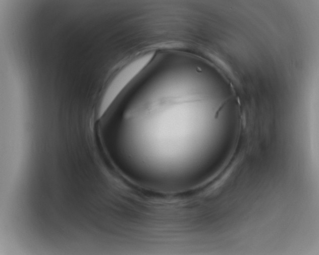 X0000113900201200910011349