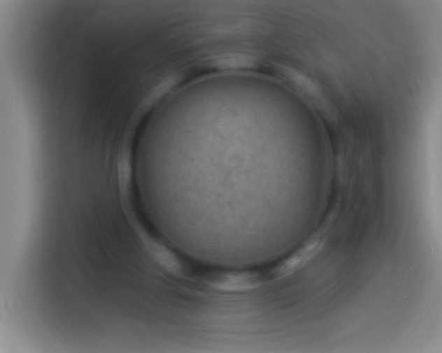 X0000113900202200910011349