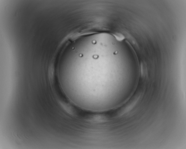 X0000113900204200910011349