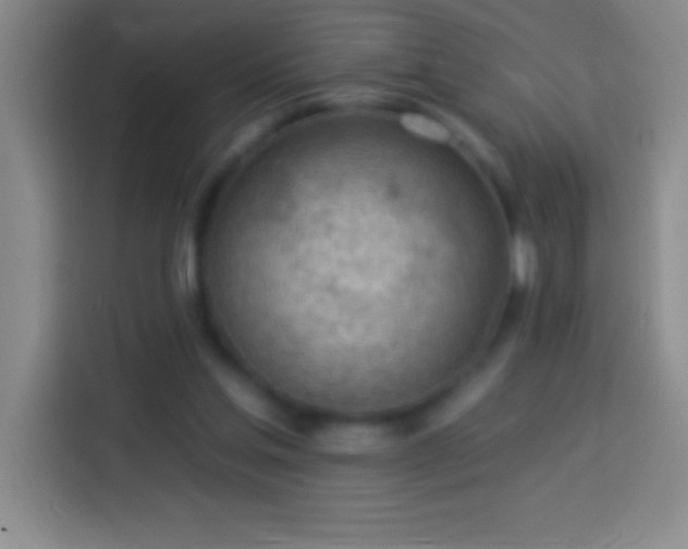 X0000113900205200910011349