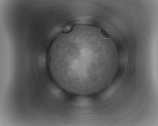 X0000113900207200910011349