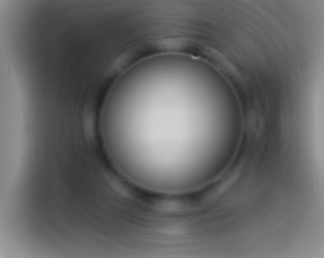 X0000113900209200910011349