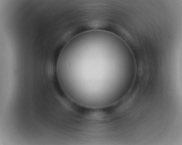 X0000113900210200910011349