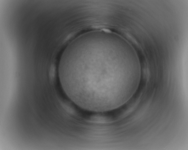 X0000113900211200910011349