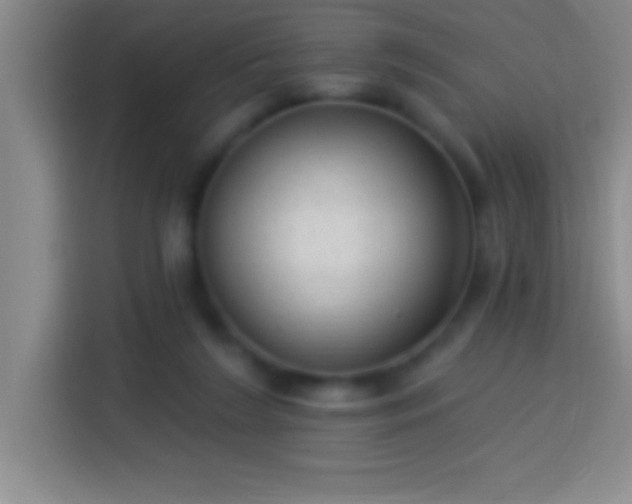 X0000113900212200910011349