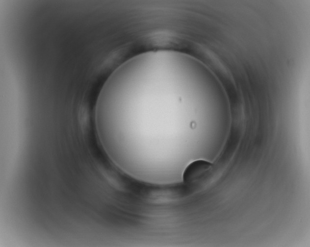 X0000113900213200910011349