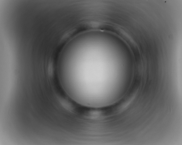 X0000113900216200910011349