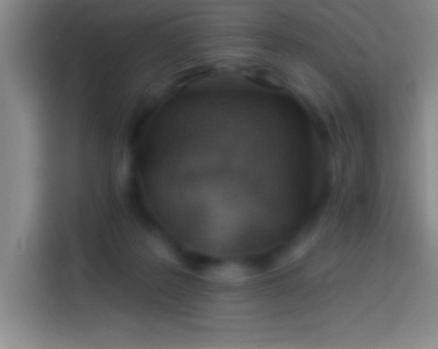 X0000113900219200910011349