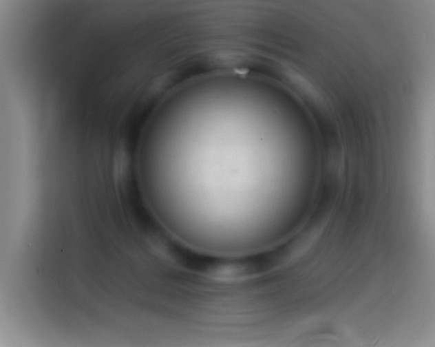 X0000113900220200910011349