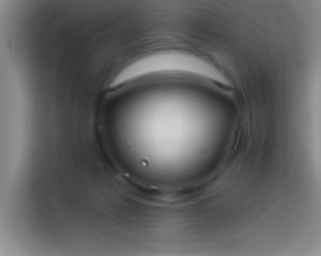 X0000113900221200910011349