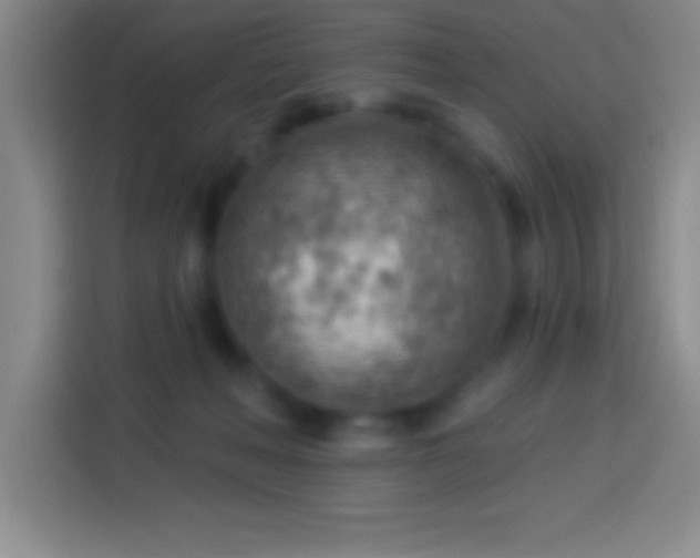 X0000113900222200910011349