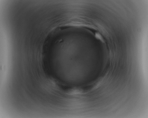 X0000113900223200910011349