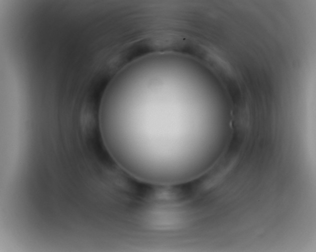 X0000113900226200910011349