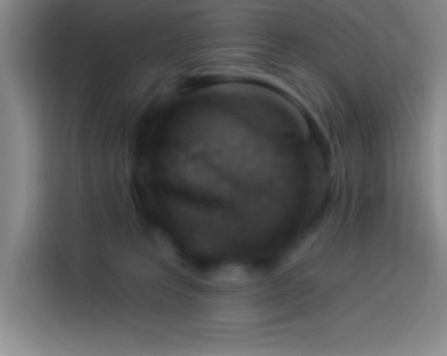 X0000113900227200910011349