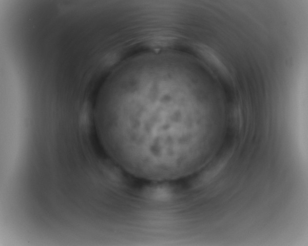 X0000113900228200910011349