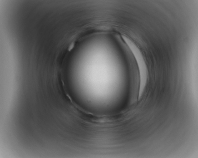 X0000113900229200910011349