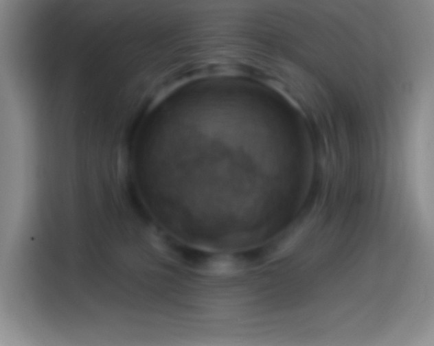 X0000113900231200910011349