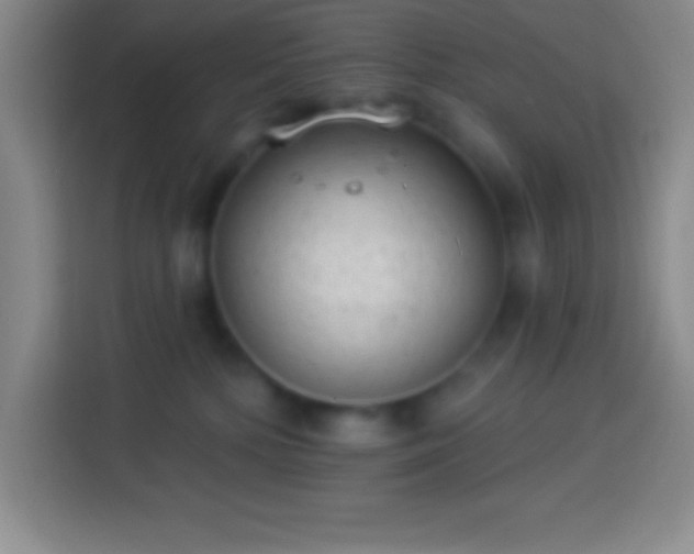 X0000113900232200910011349