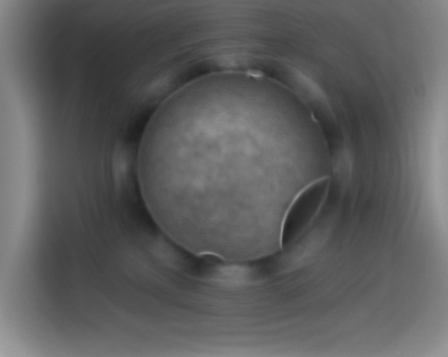 X0000113900233200910011349