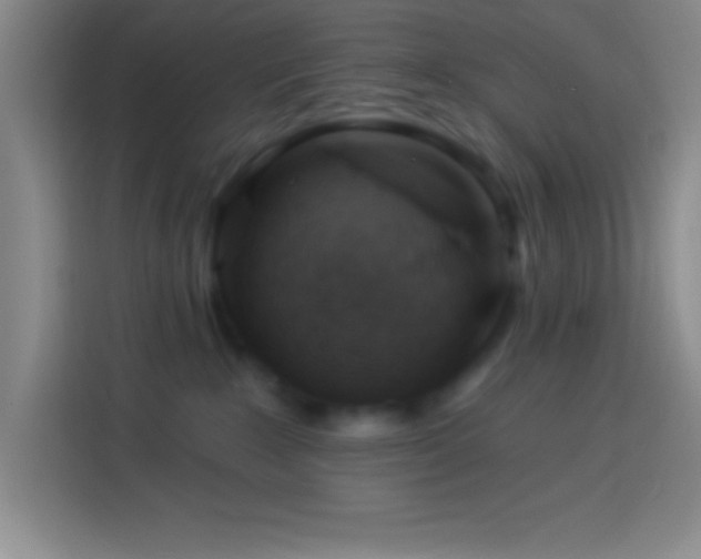 X0000113900235200910011349