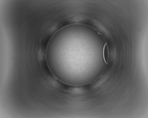 X0000113900236200910011349