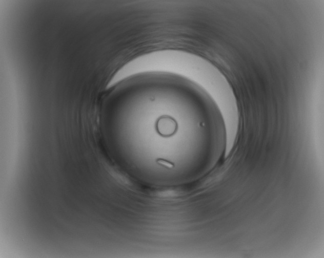 X0000113900237200910011349