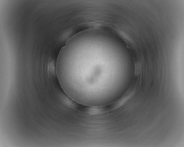 X0000113900238200910011349